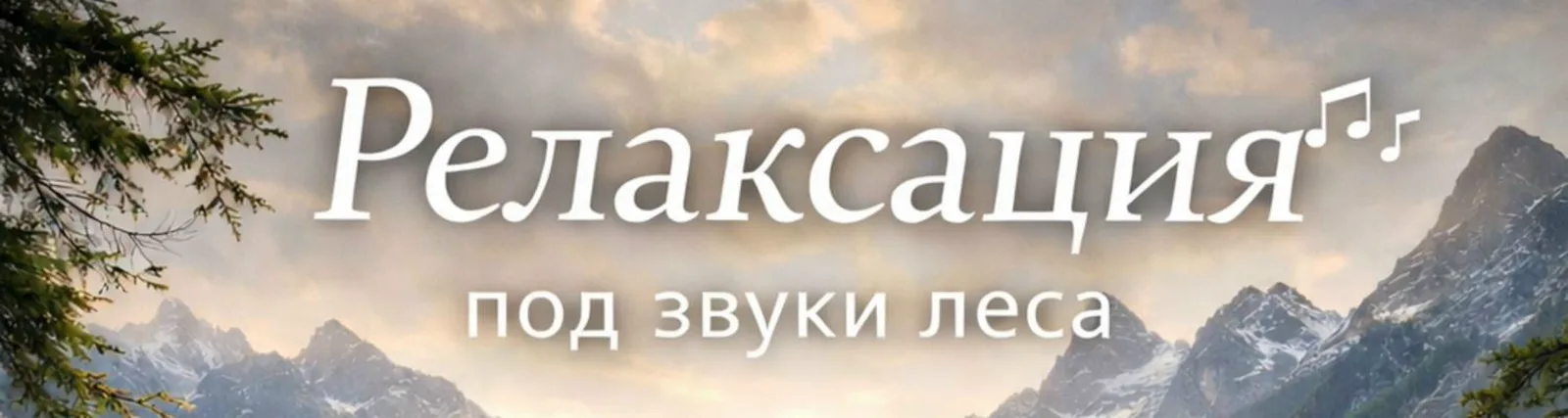 Фото исполнителя Музыка для медитации шум леса