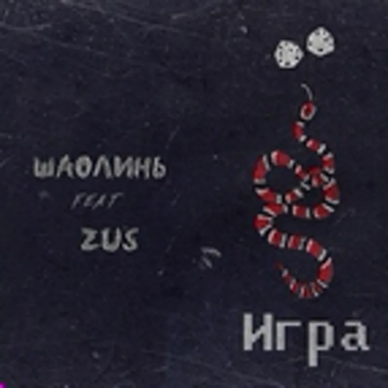 Фото исполнителя ШаолинЬ