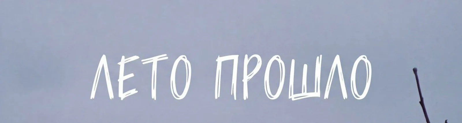 Вадим Кузема