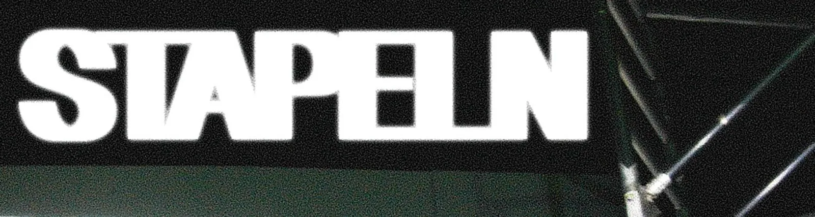 Fin