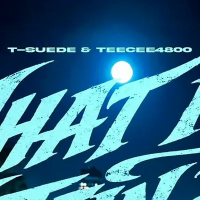 TeeCee4800