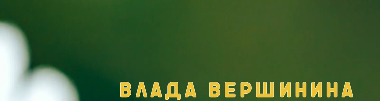 Фото исполнителя Влада Вершинина