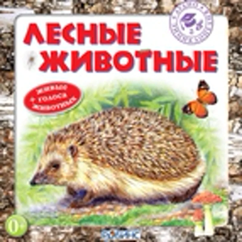 Екатерина Зацепина