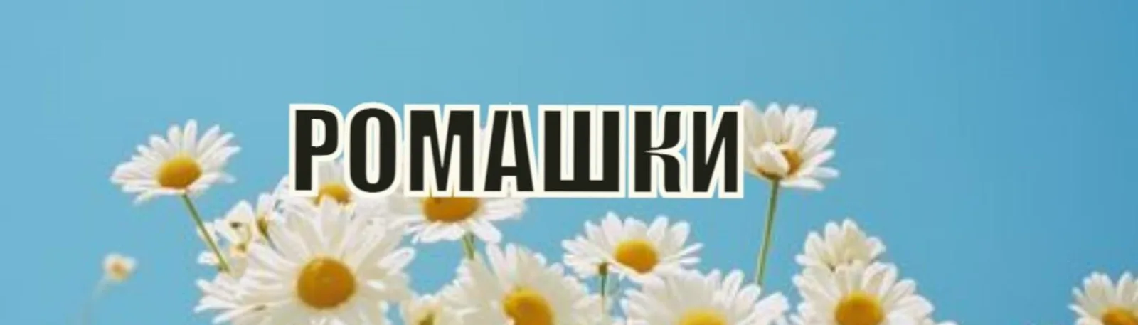 Фото исполнителя Нина Циповьяз