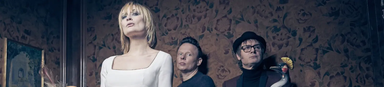 Фото исполнителя Hooverphonic
