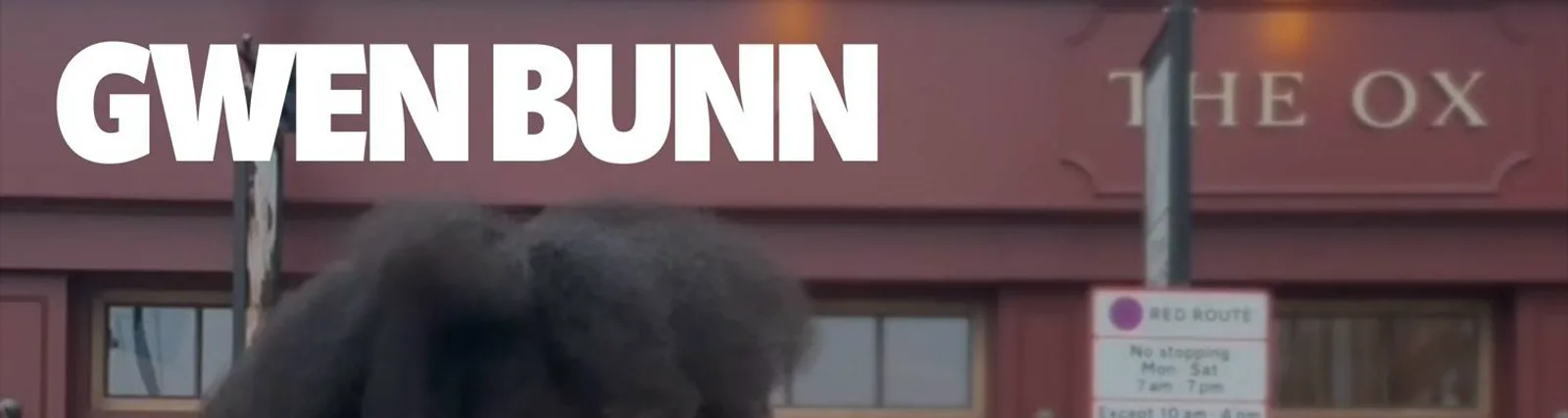 Фото исполнителя Gwen Bunn