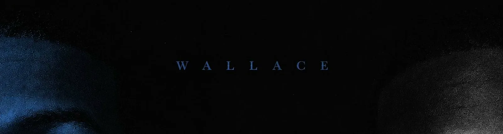 Фото исполнителя Wallace