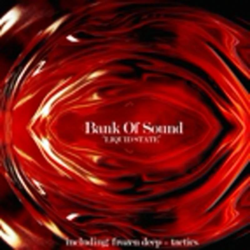 Фото исполнителя Bank Of Sound