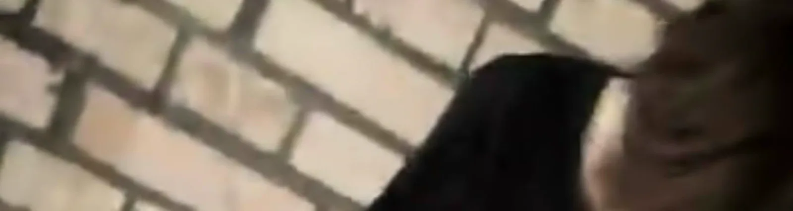 dj glamsta