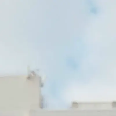 YOMAYo