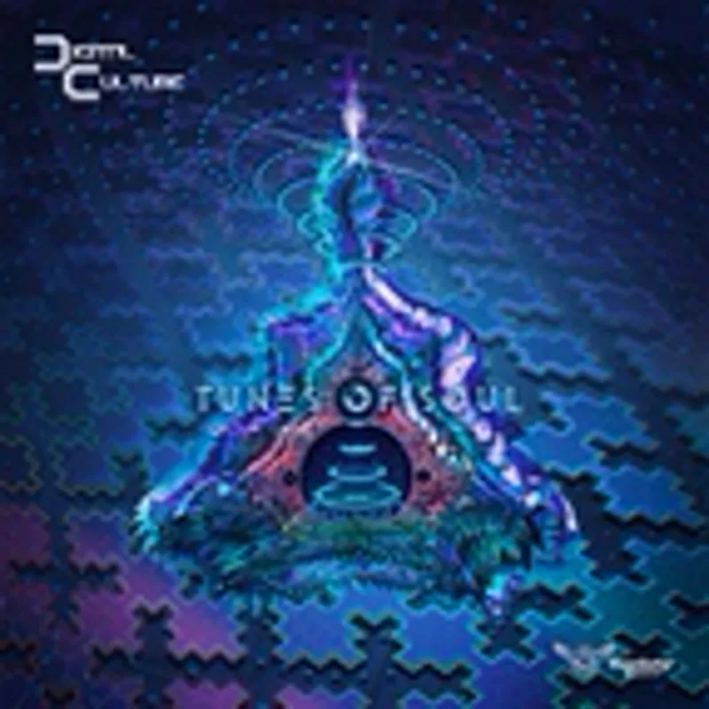Digital Culture