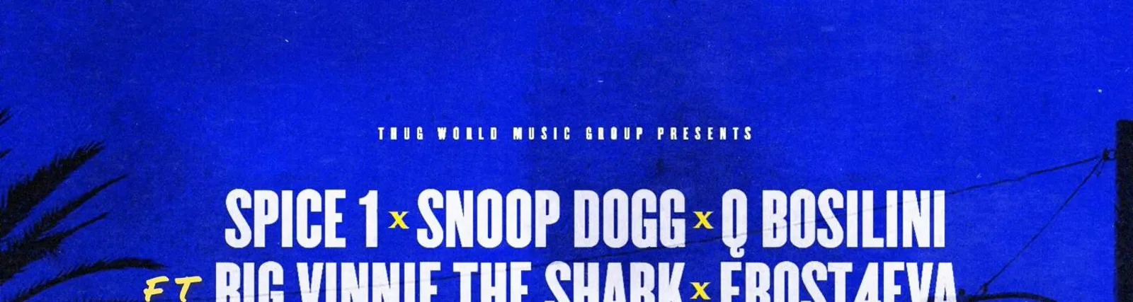 Фото исполнителя Big Vinnie The Shark