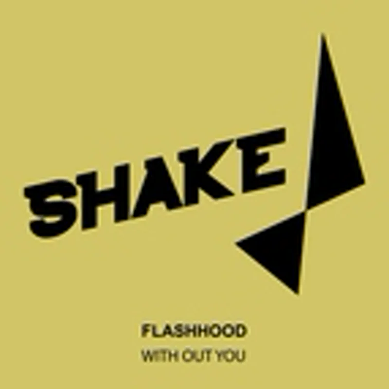 Фото исполнителя Flashhood
