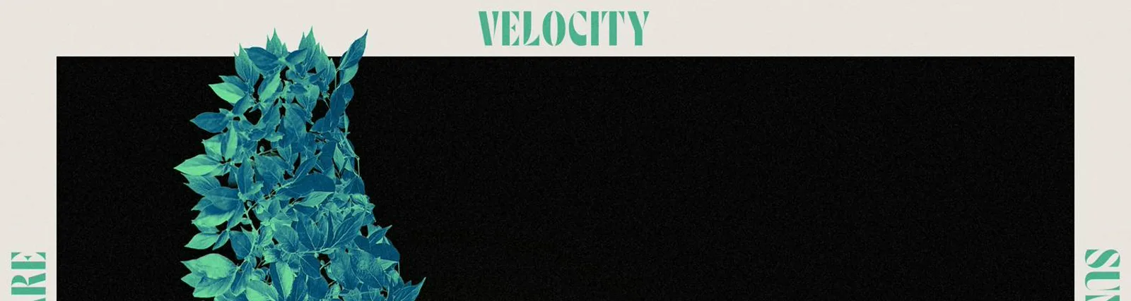 Фото исполнителя Velocity