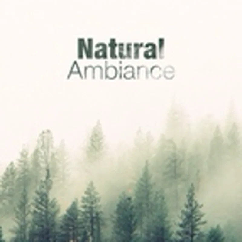 Фото исполнителя Relaxing and Healing Sounds of Nature