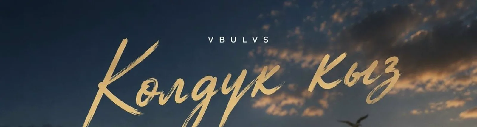 Фото исполнителя VBULVS
