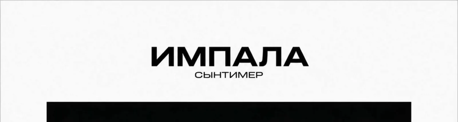 Сынтимер