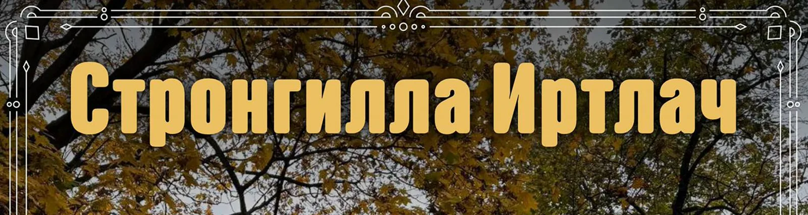 Фото исполнителя Стронгилла Иртлач