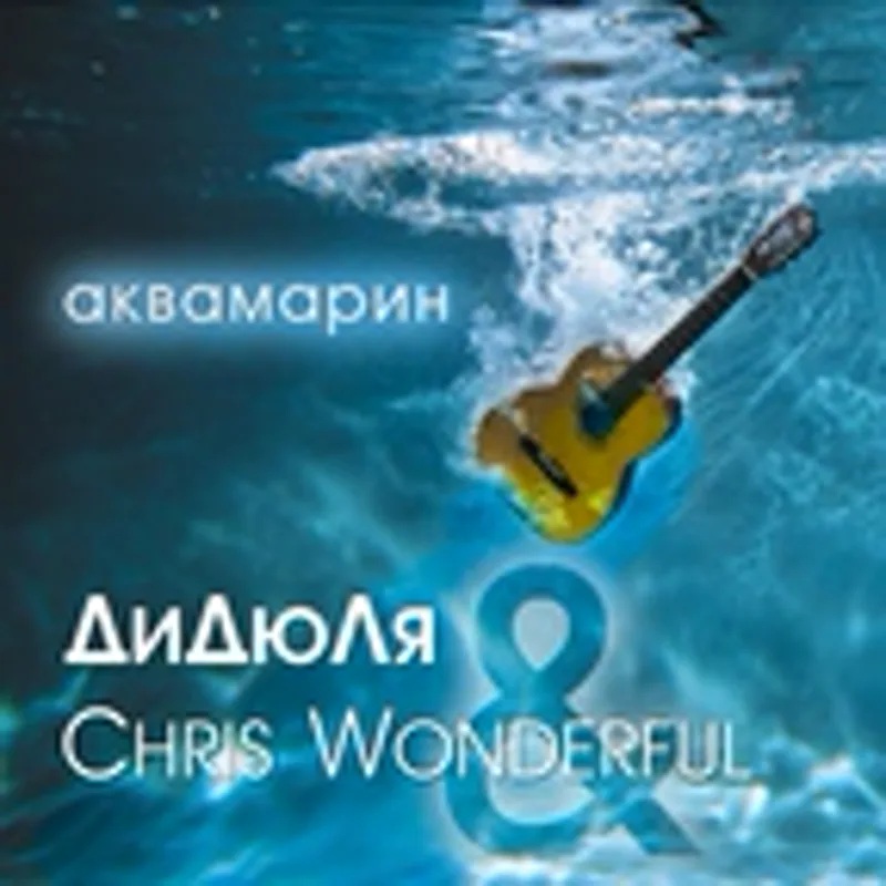 Фото исполнителя Chris Wonderful
