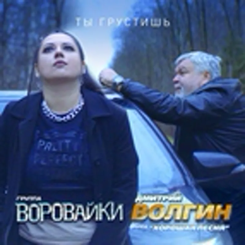 Фото исполнителя Дмитрий Волгин и группа "Хорошая песня"