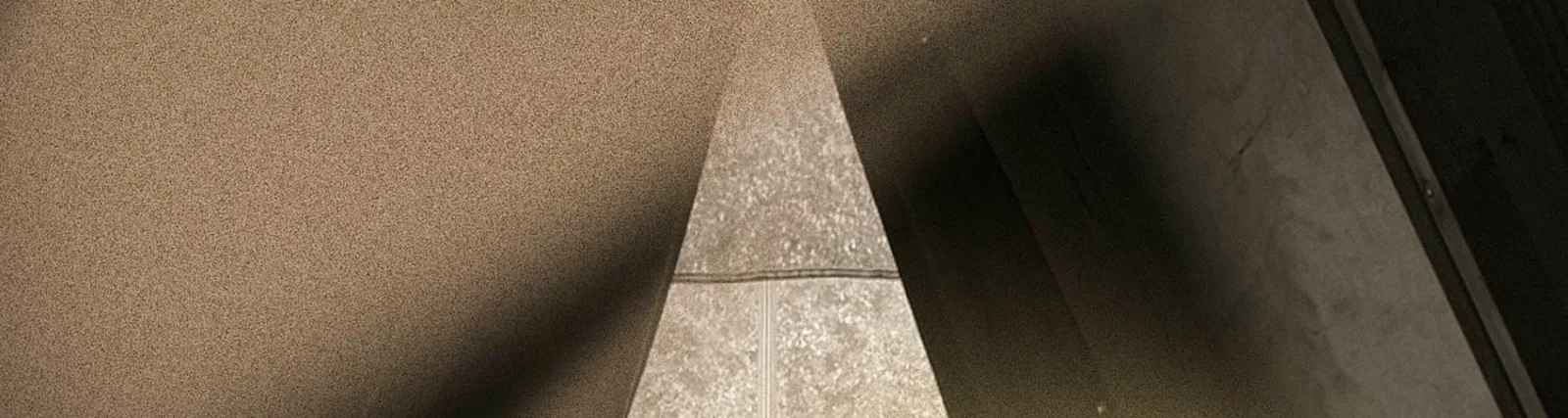 Mic