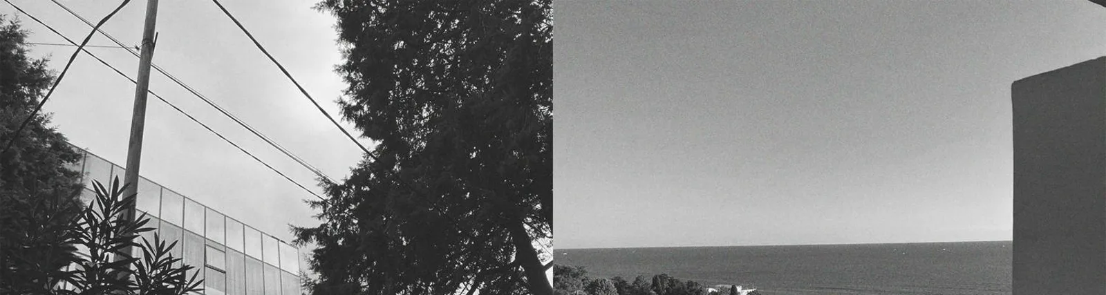 dzidambo