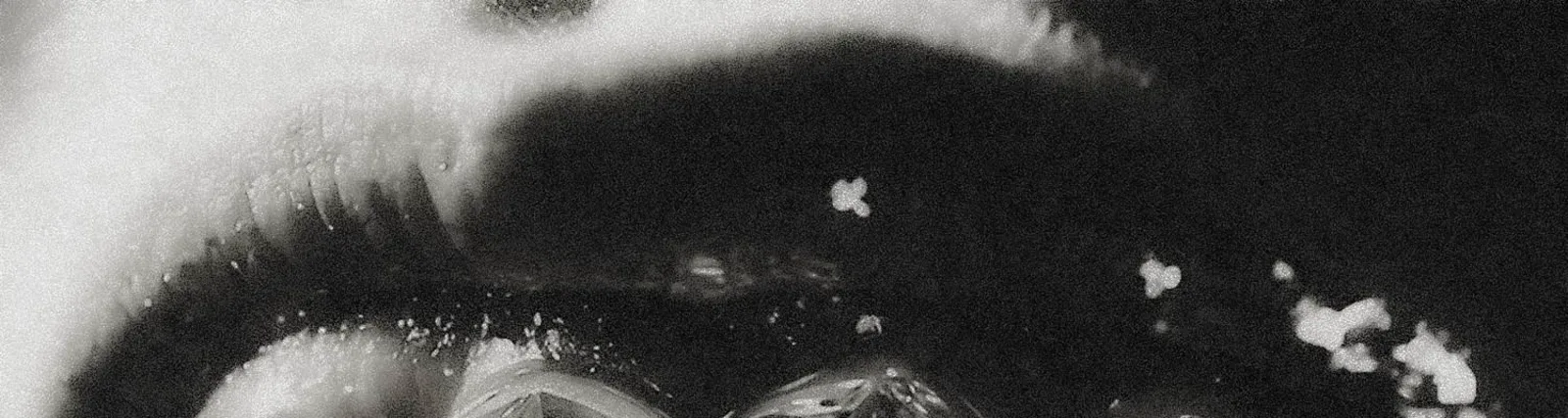 Фото исполнителя Stoney
