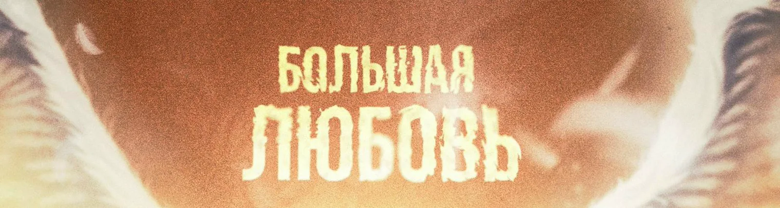 Фото исполнителя Лариса Долина, Хор Академии Ларисы Долиной