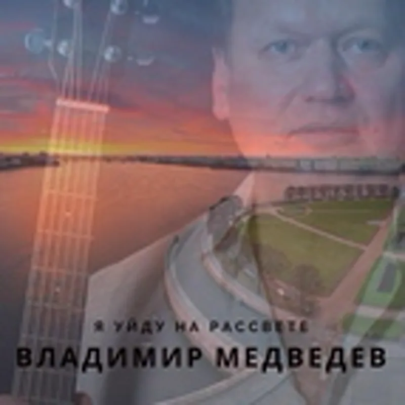 Владимир Медведев