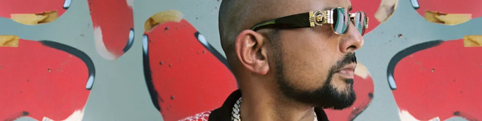 Фото исполнителя Sean Paul