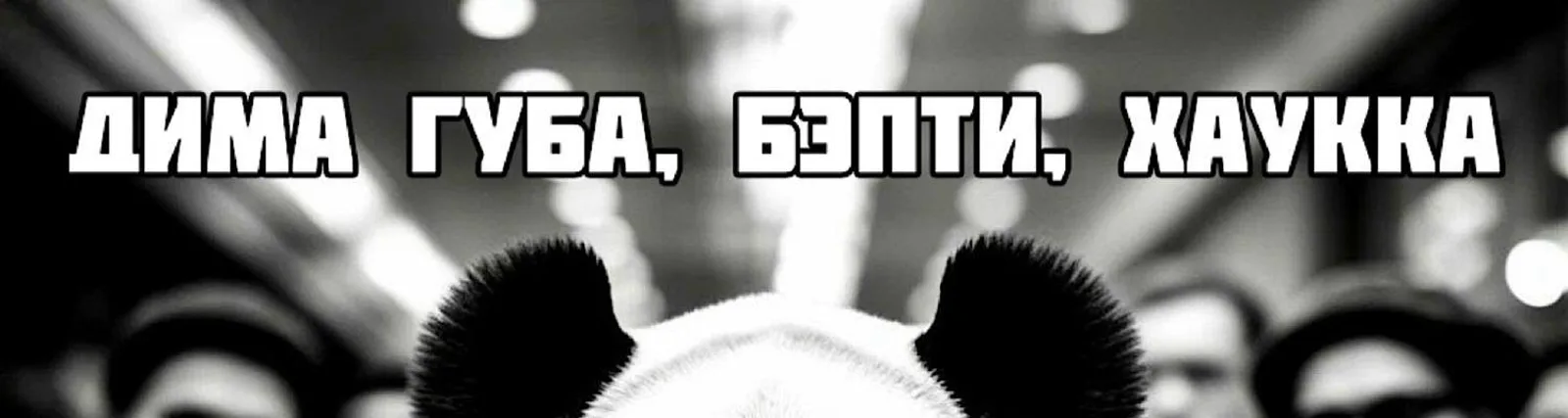 Хаукка