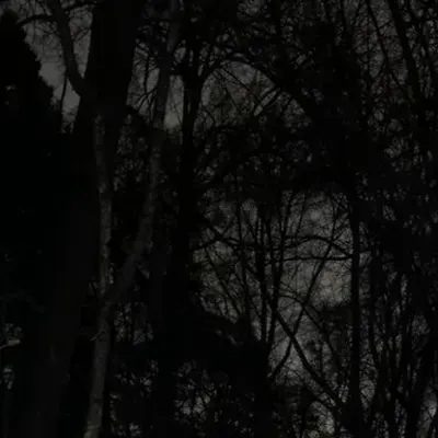 Радость Моя