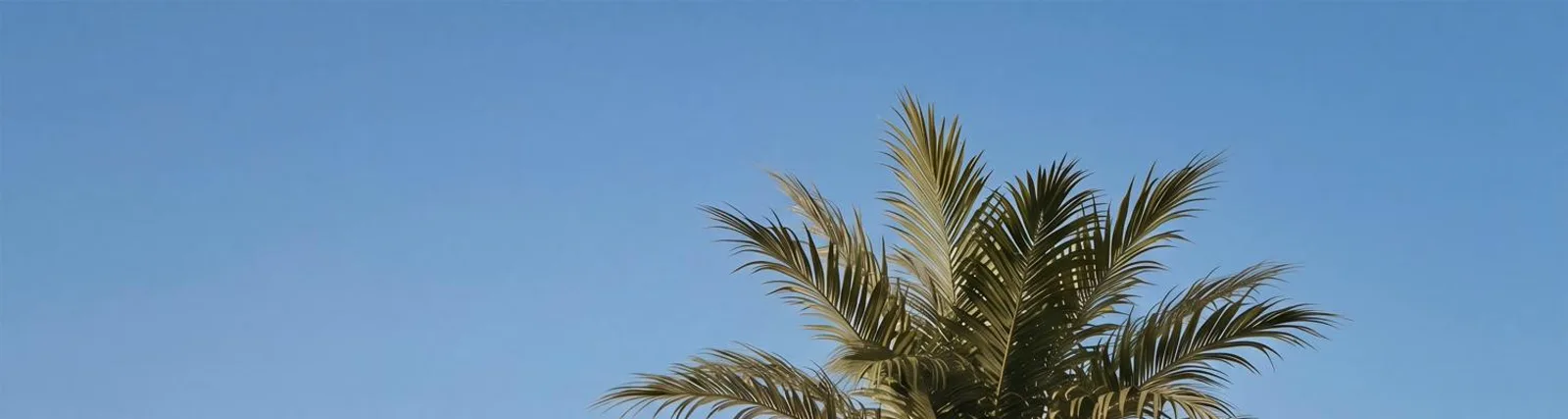 DEMILI