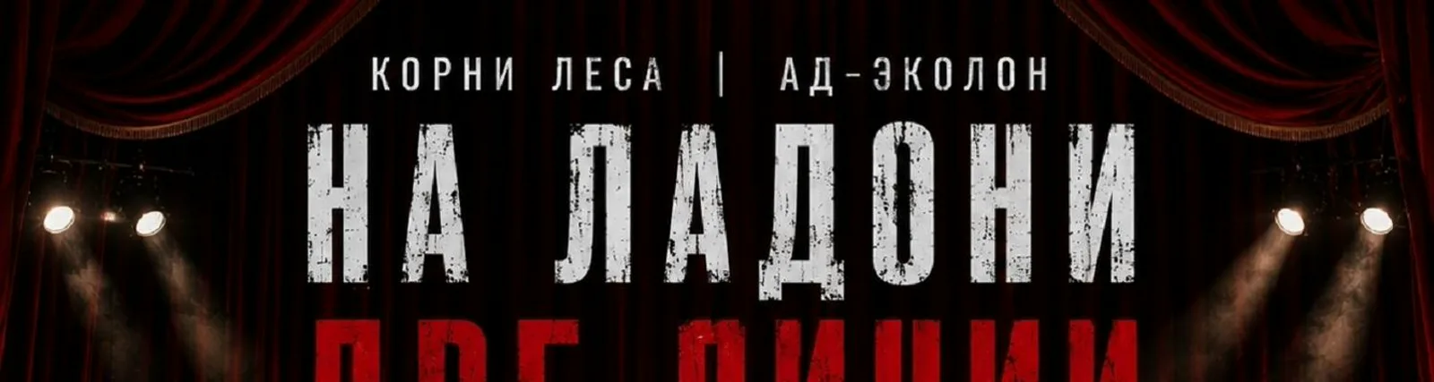 КОРНИ ЛЕСА