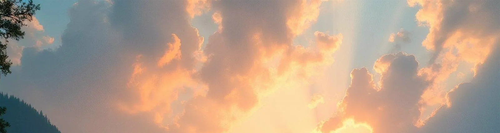 Ambient