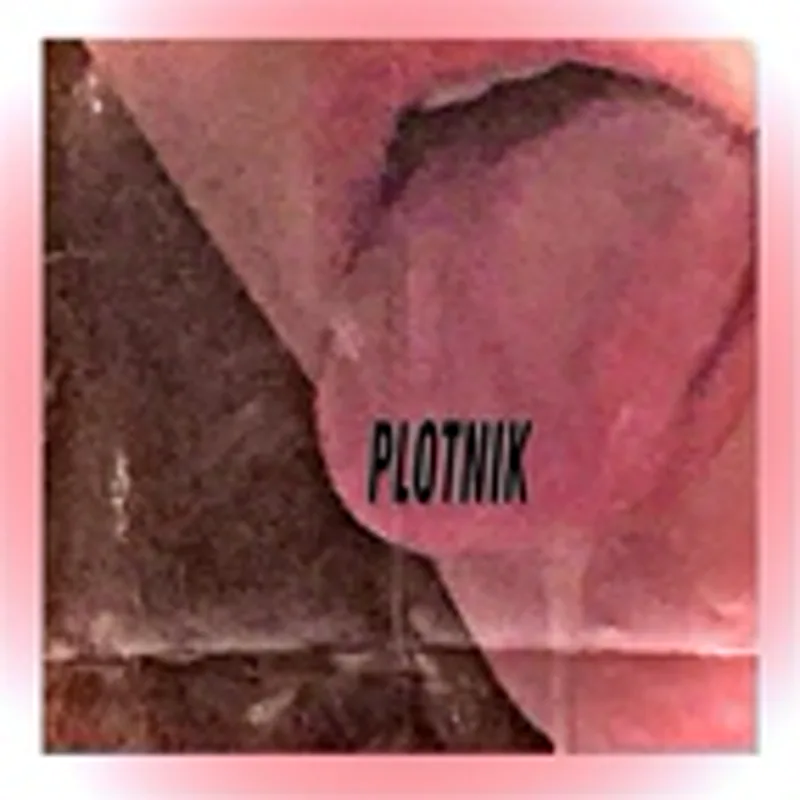 Фото исполнителя Plotnik & Гитарин